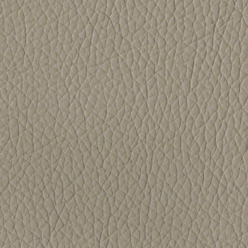 Bone Bonded Leather (Cement Cushion)